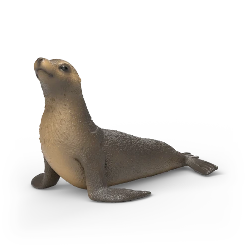 Lion de mer