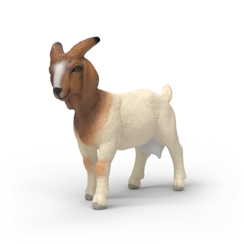 Chèvre Boer