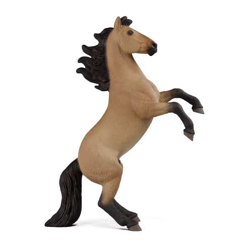 Étalon Mustang