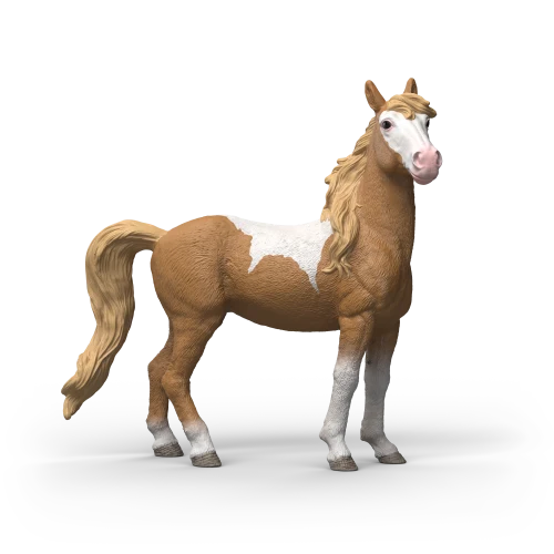 Jument mustang