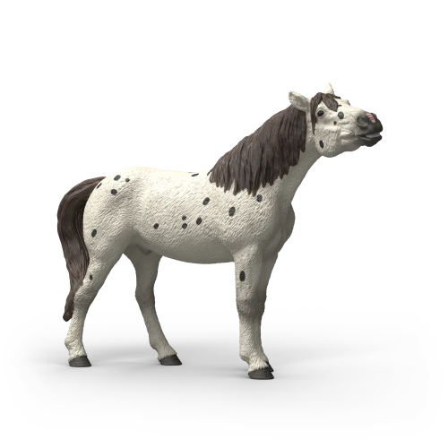 Hongre Knabstrupper
