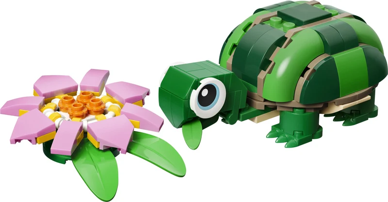 La tortue avec un nénuphar