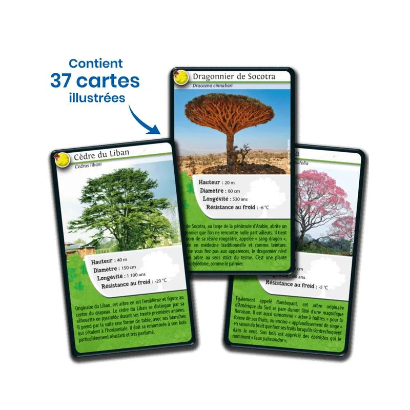 Défis Nature / Arbres du monde (FR)
