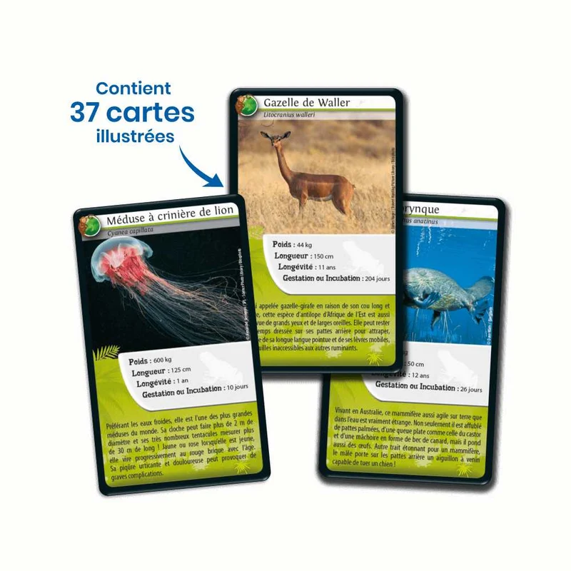 Défis Nature / Animaux extraordinaires (FR)