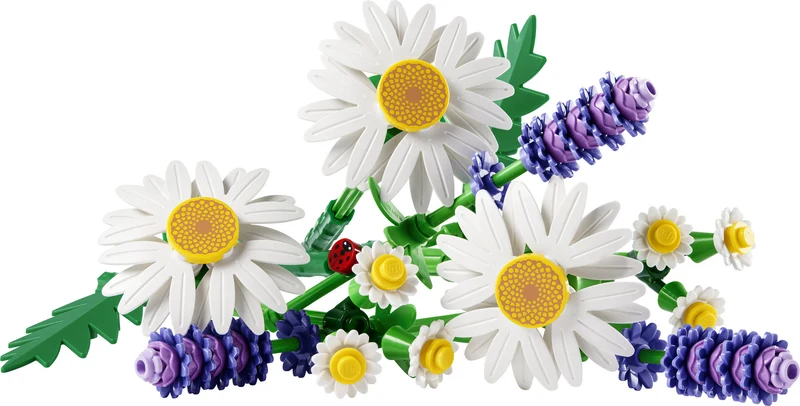 Les marguerites