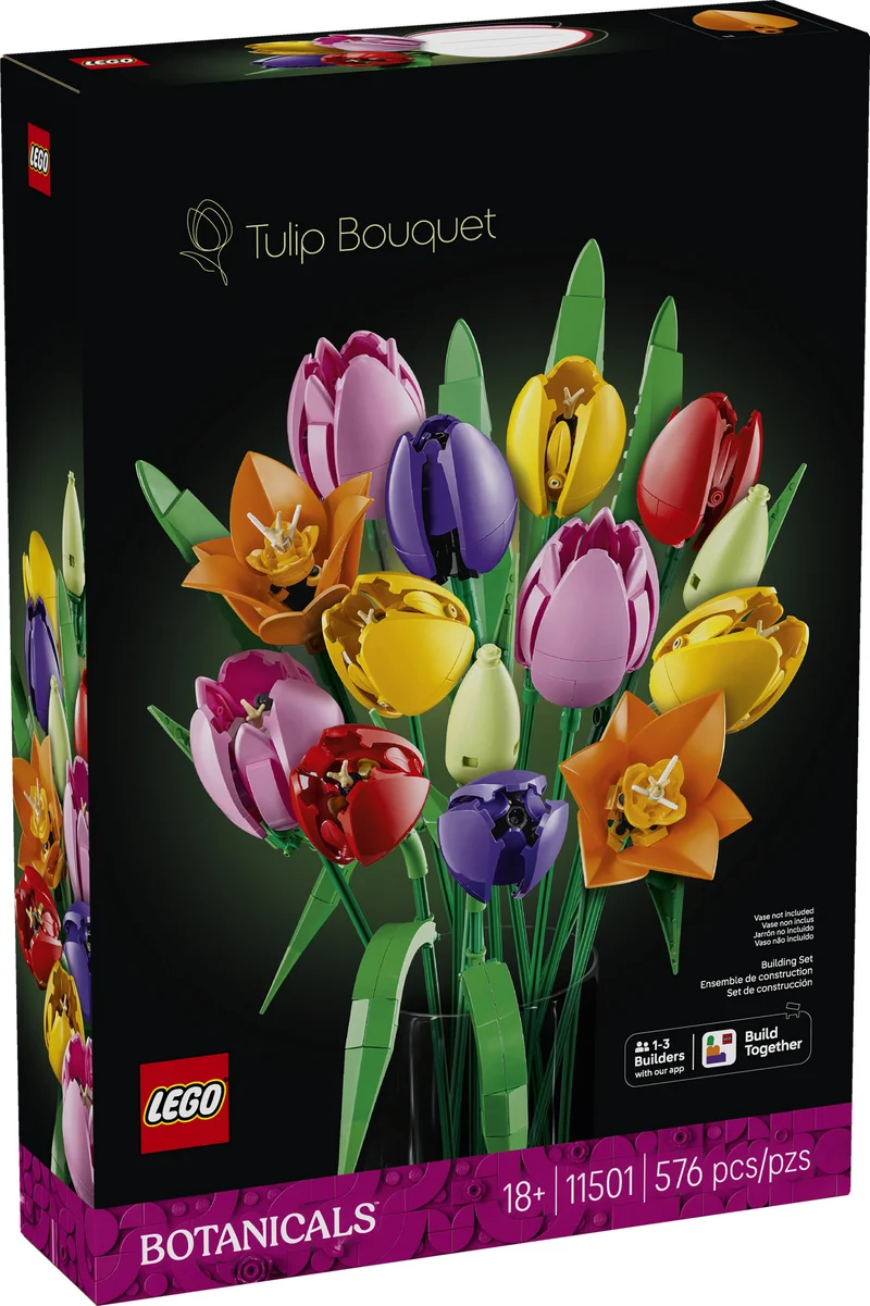 Le bouquet de tulipes