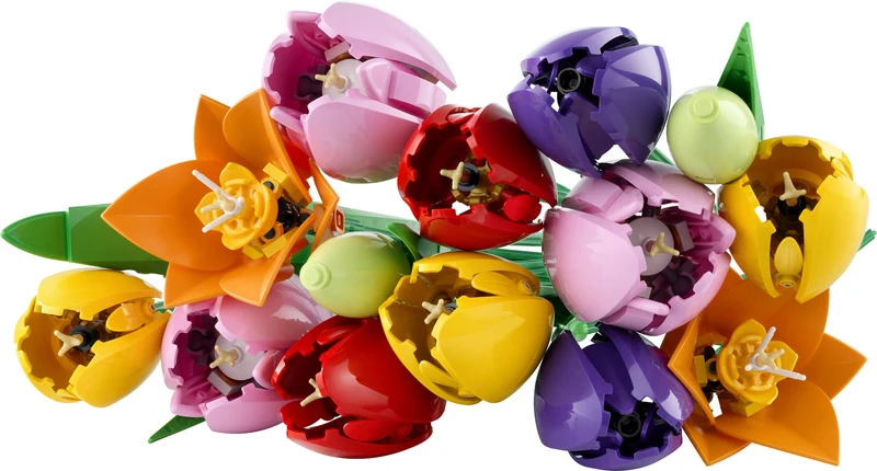 Le bouquet de tulipes
