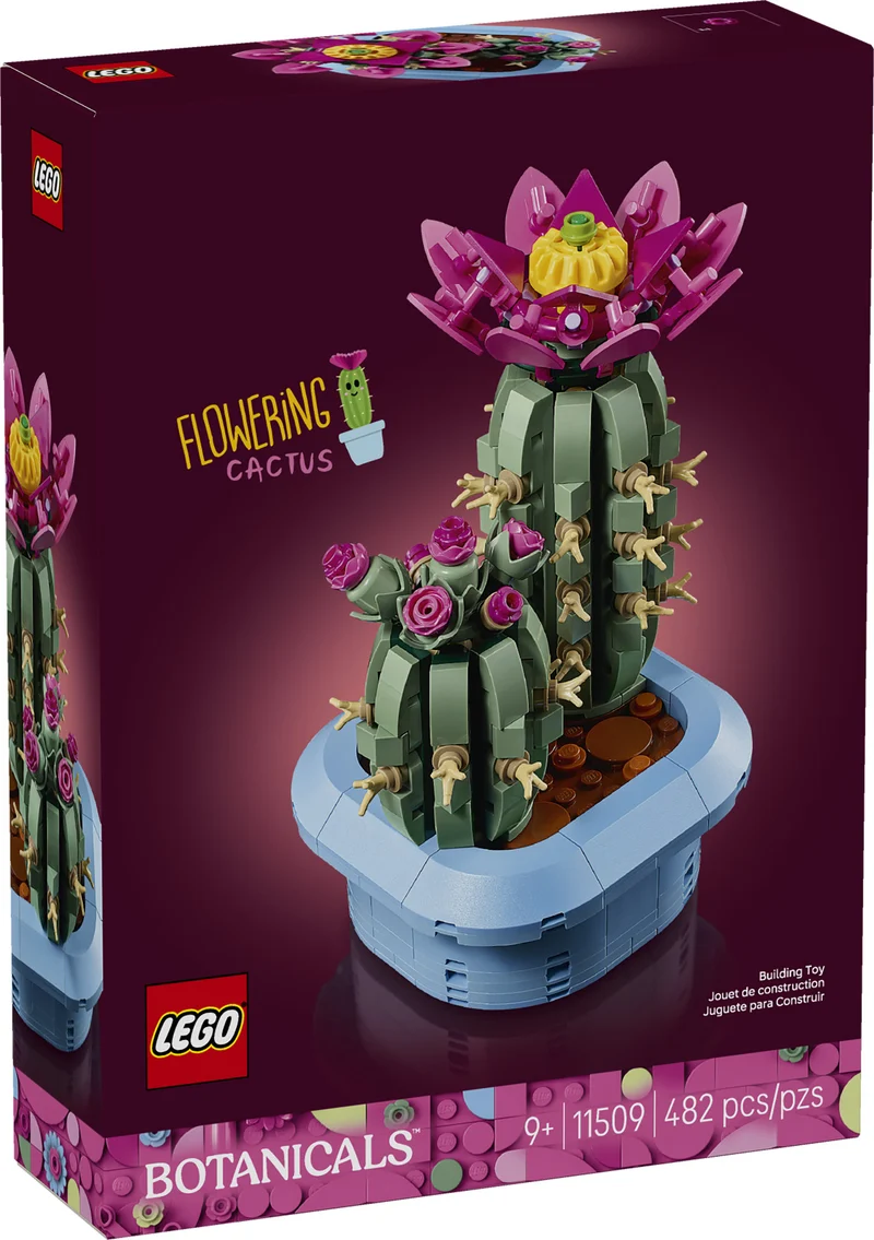 Le cactus en fleurs