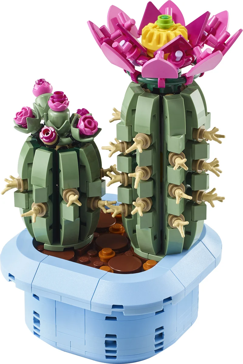 Le cactus en fleurs