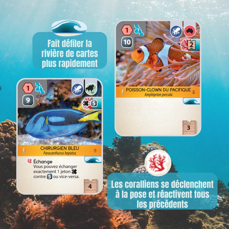Ark Nova - Extension Mondes Marins
