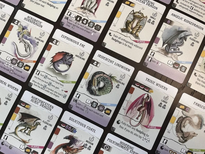 Wyrmspan Dragon Academy Expansion (EN)