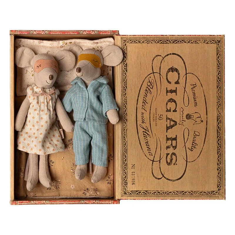 Souris Papa Et Maman Dans Une Boîte À Cigares
