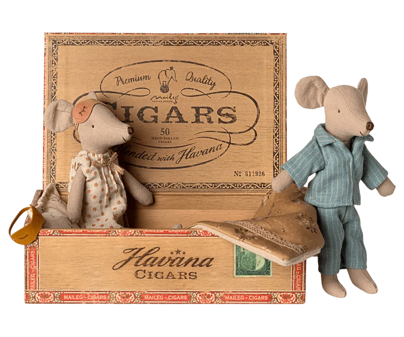 Souris Papa Et Maman Dans Une Boîte À Cigares