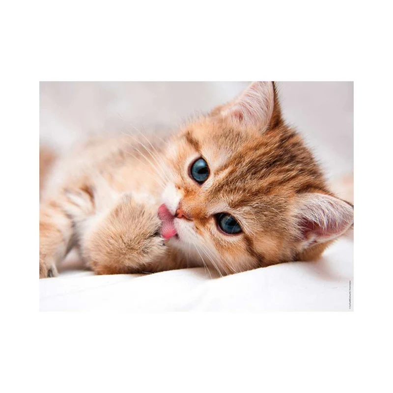 La toilette du chat (500 pcs)