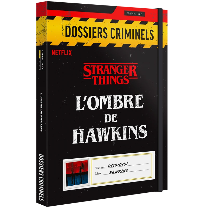 D. c. Stranger Things - L'ombre de Hawkins (FR)