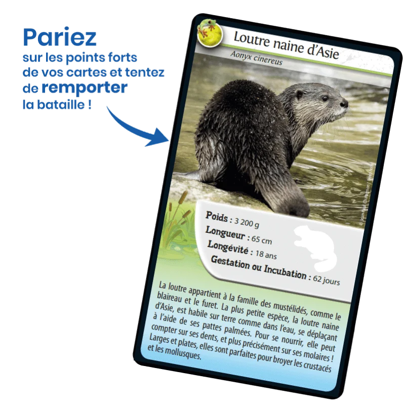 Défis Nature / Animaux d'eau douce (FR)