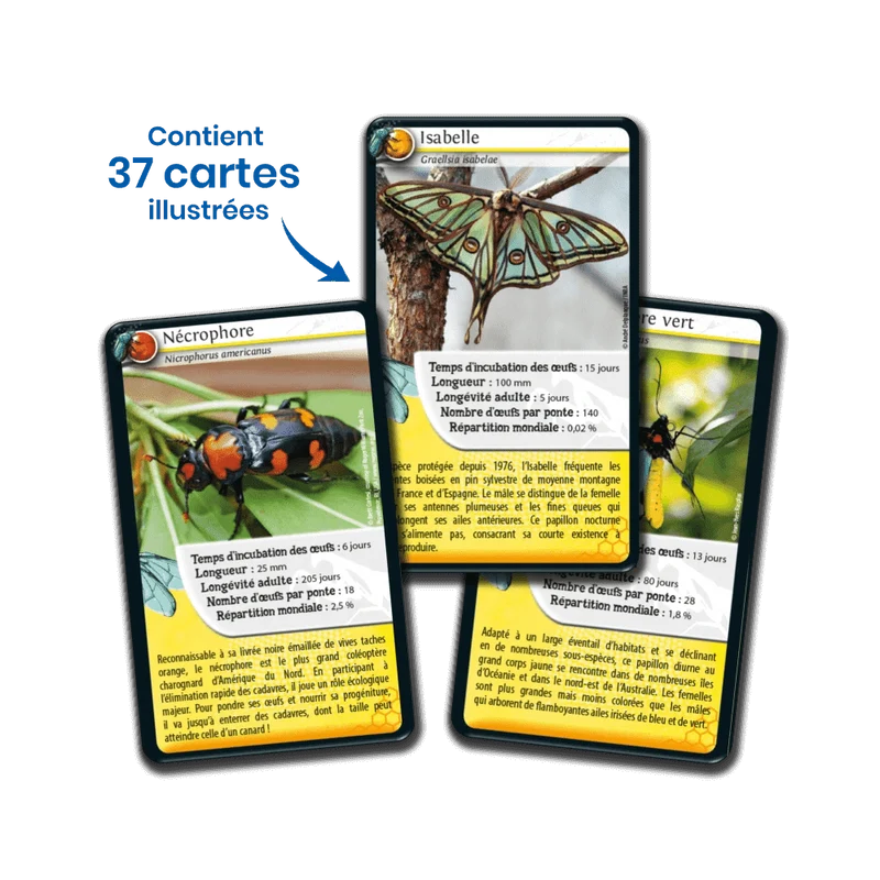 Défis Nature / Insectes (FR)