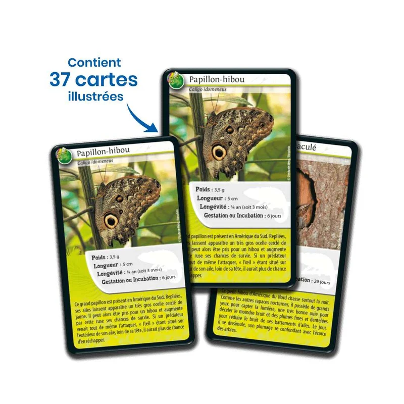 Défis Nature / Rois du camouflage (FR)