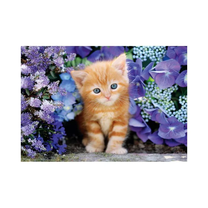 Chaton roux (500 pcs)