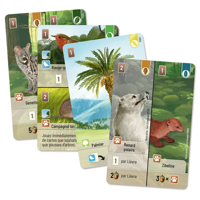 Forêt Mixte Exploration (Version française)