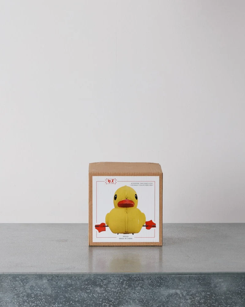 Die Blechfabrik - Jouet - Canard Jaune