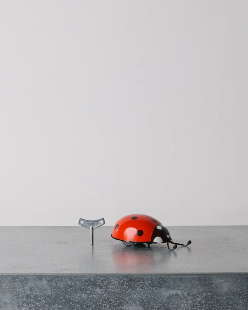 Die Blechfabrik - Jouet - Coccinelle Rouge