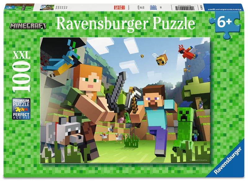 Minecraft, 100 pièces