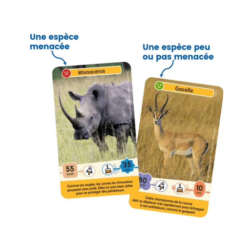 Défis Nature Junior / Rois de la savane (FR)