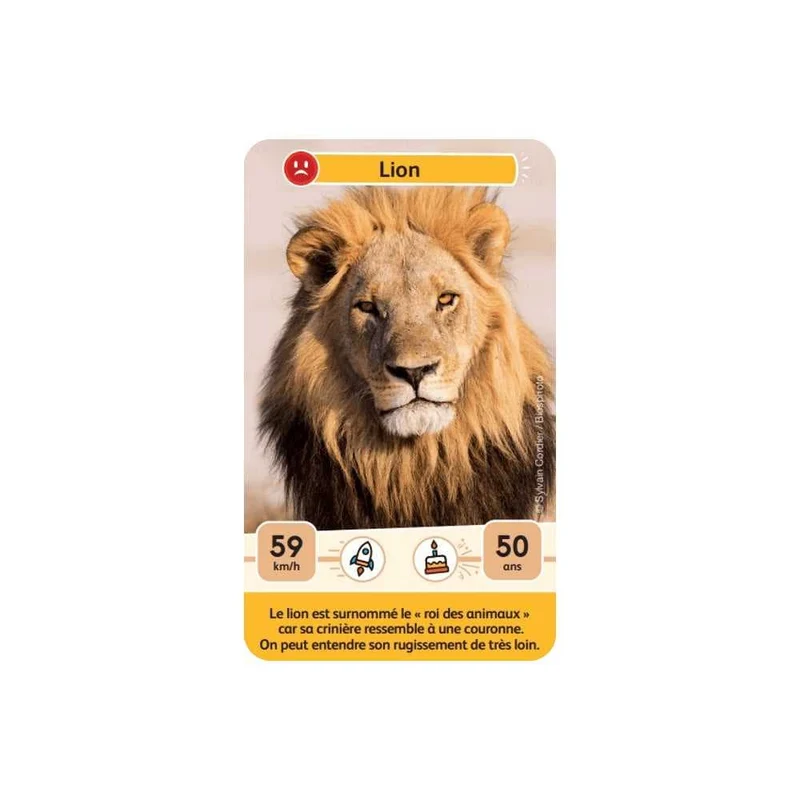 Défis Nature Junior / Rois de la savane (FR)