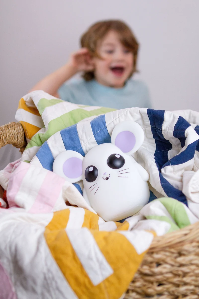 Cachette Souricette (FR)