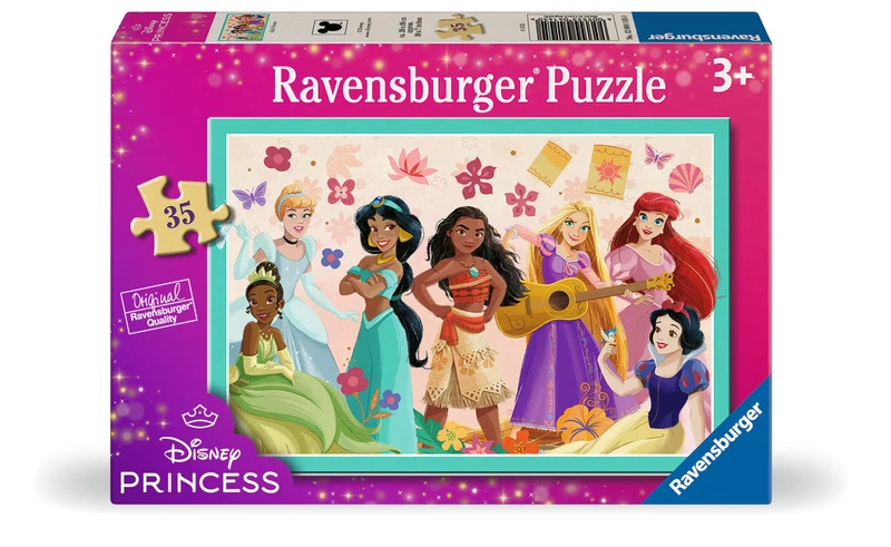 Les princesses de Disney 35 pièces