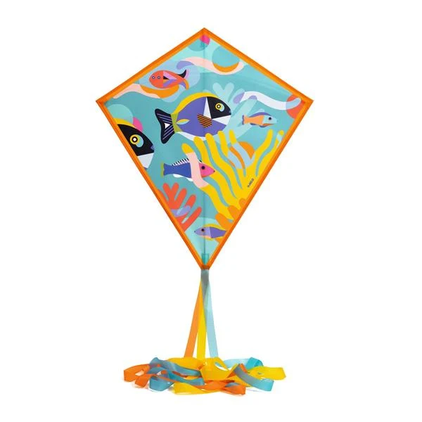 Cerf-volant / Ocean