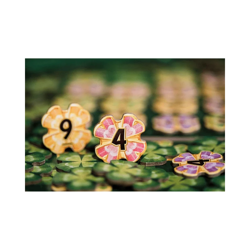 Lucky Numbers (FR)