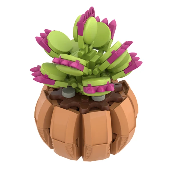 mini bouquet venus