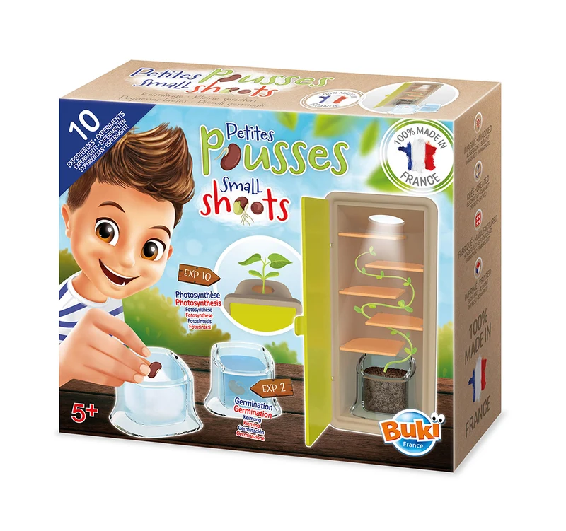 Buki - Petites pousses