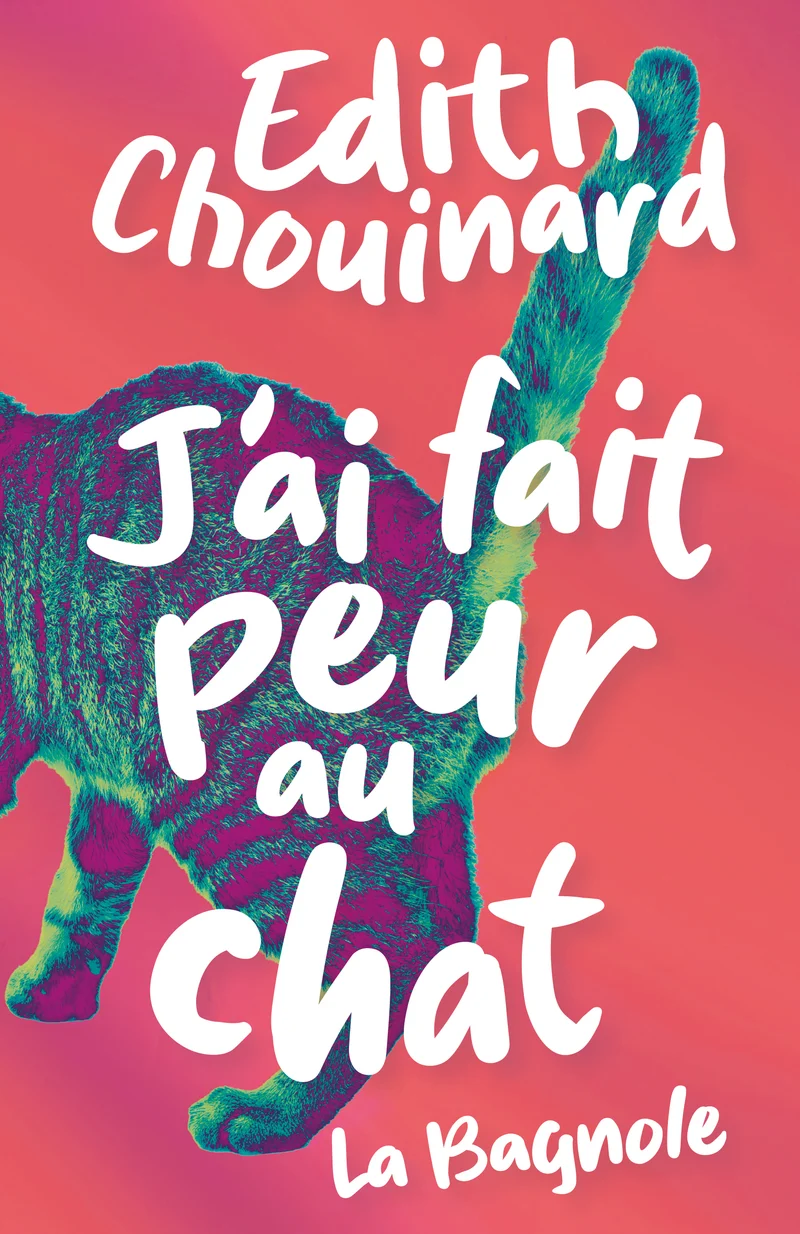 J'ai fait peur au chat