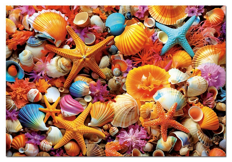 Collage de coquillages, 1000 pièces