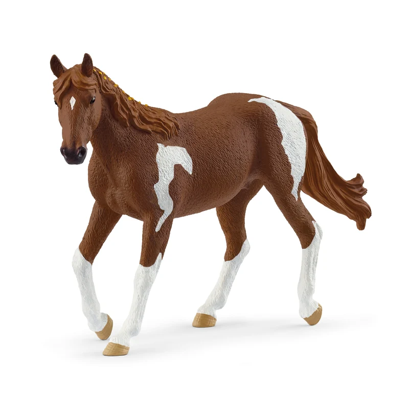 Jument Paint Horse