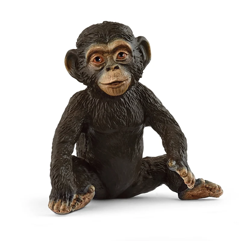 bébé chimpanzé