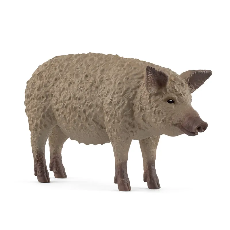 Porc Mangalica