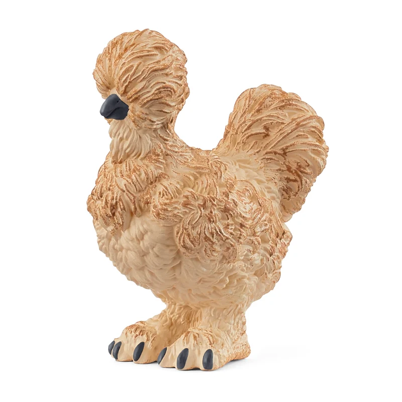 Poule Silkie