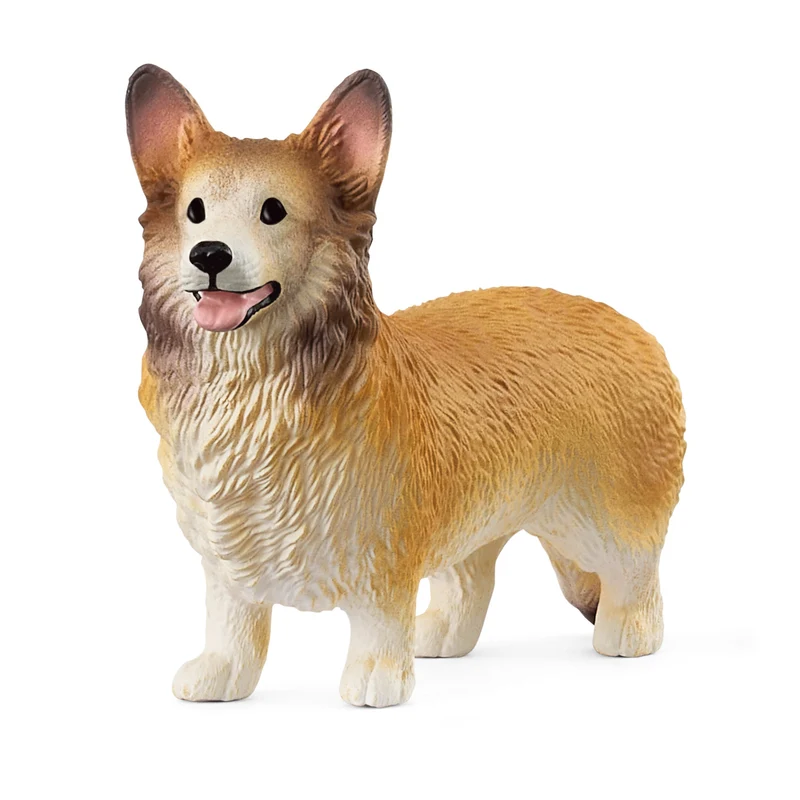 Corgie Welsh