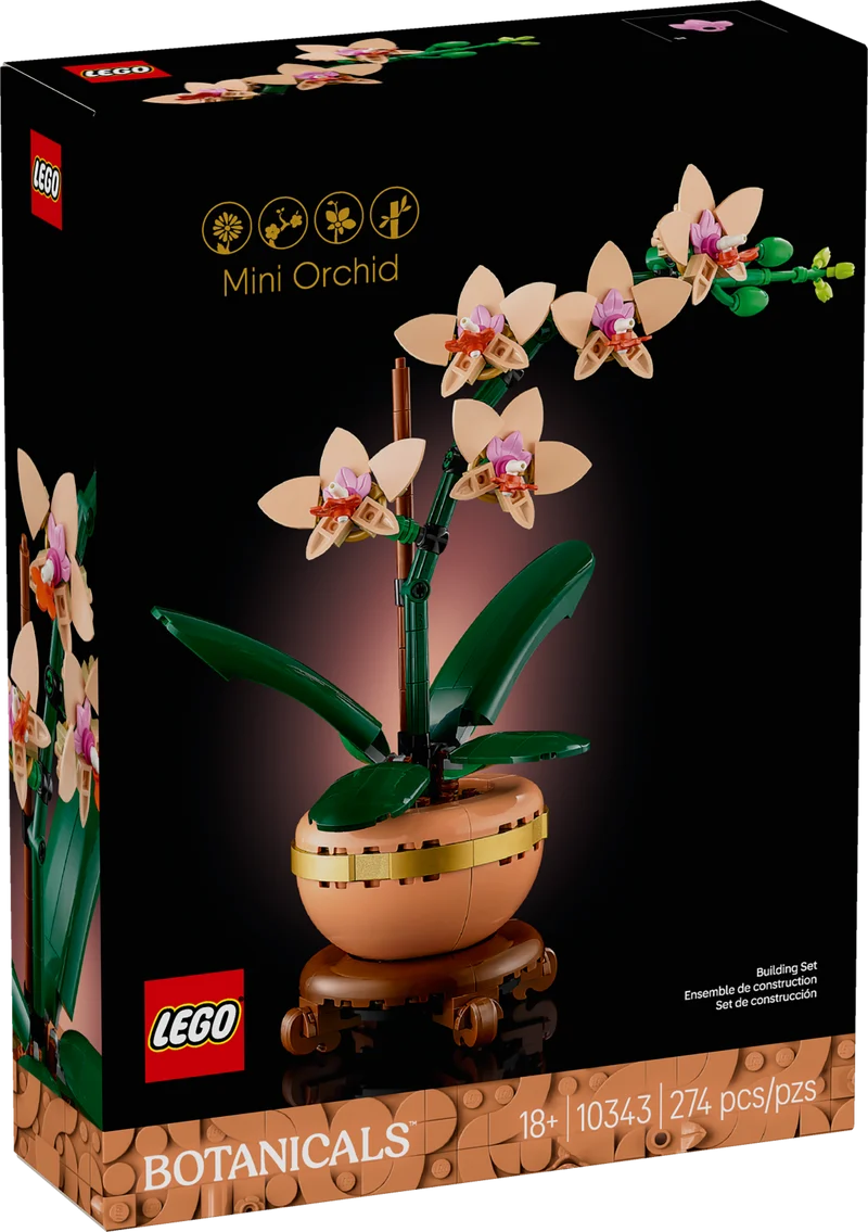 L’orchidée miniature