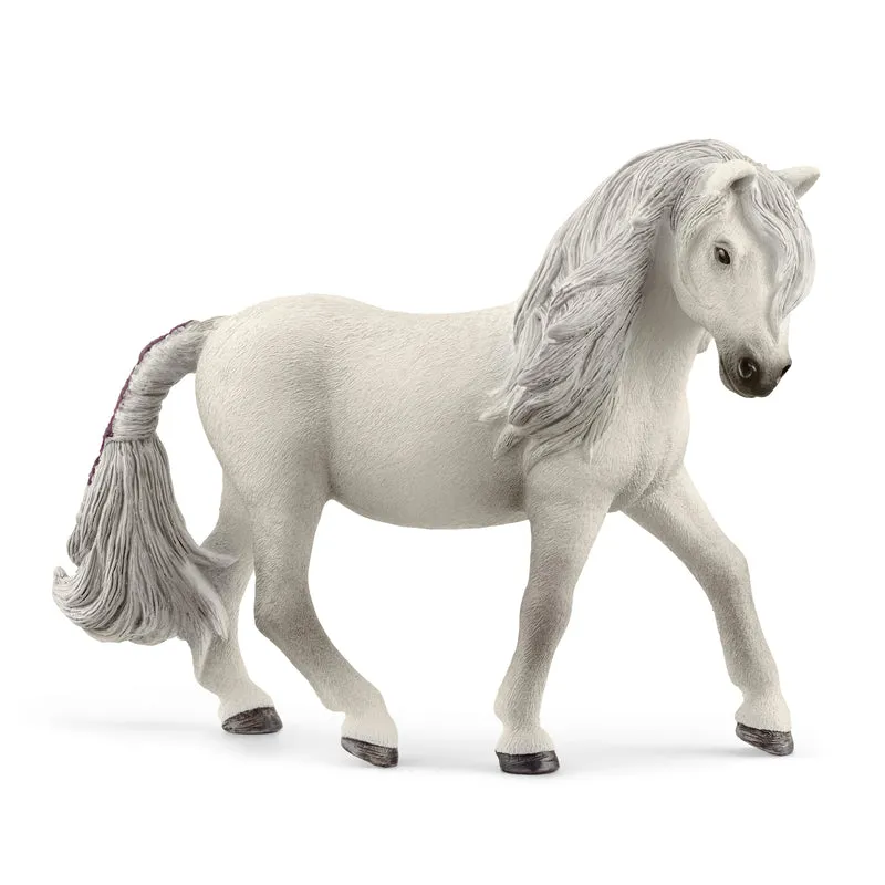 Jument Island Pony