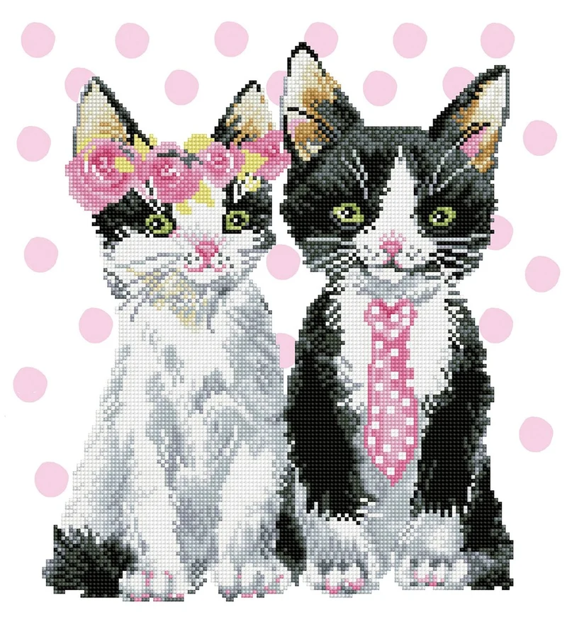 Diamond Dotz - Mr & Mrs Pink