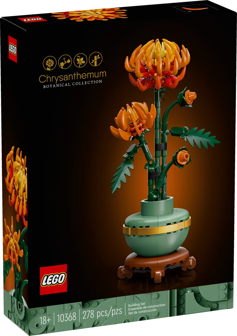 Le chrysanthème