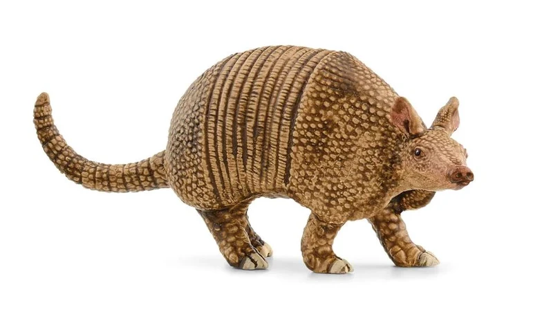 Figurine Tatou