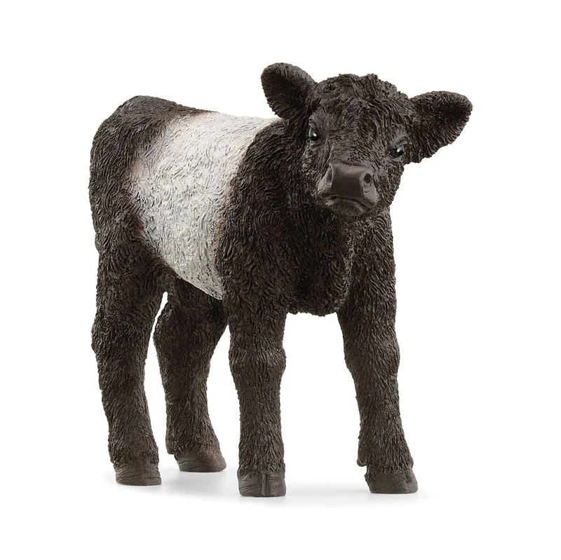 Figurine Veau Galloway