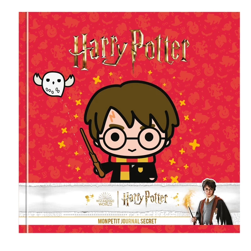 Harry Potter Mon petit journal secret Harry