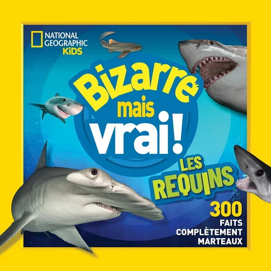 Bizarre mais vrai ! Les requins